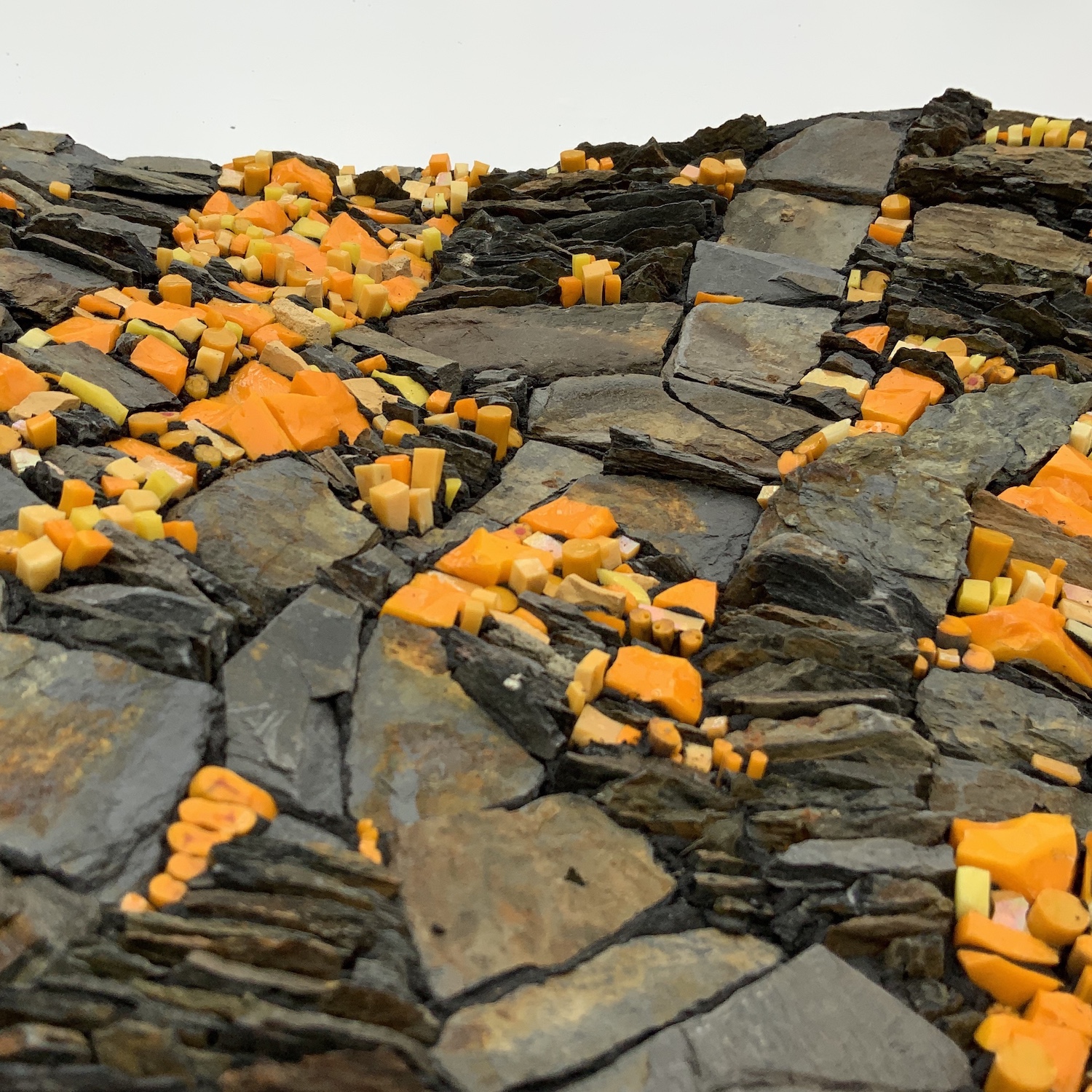 Lichen