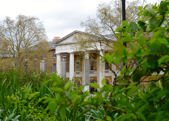 Saatchi Gallery 