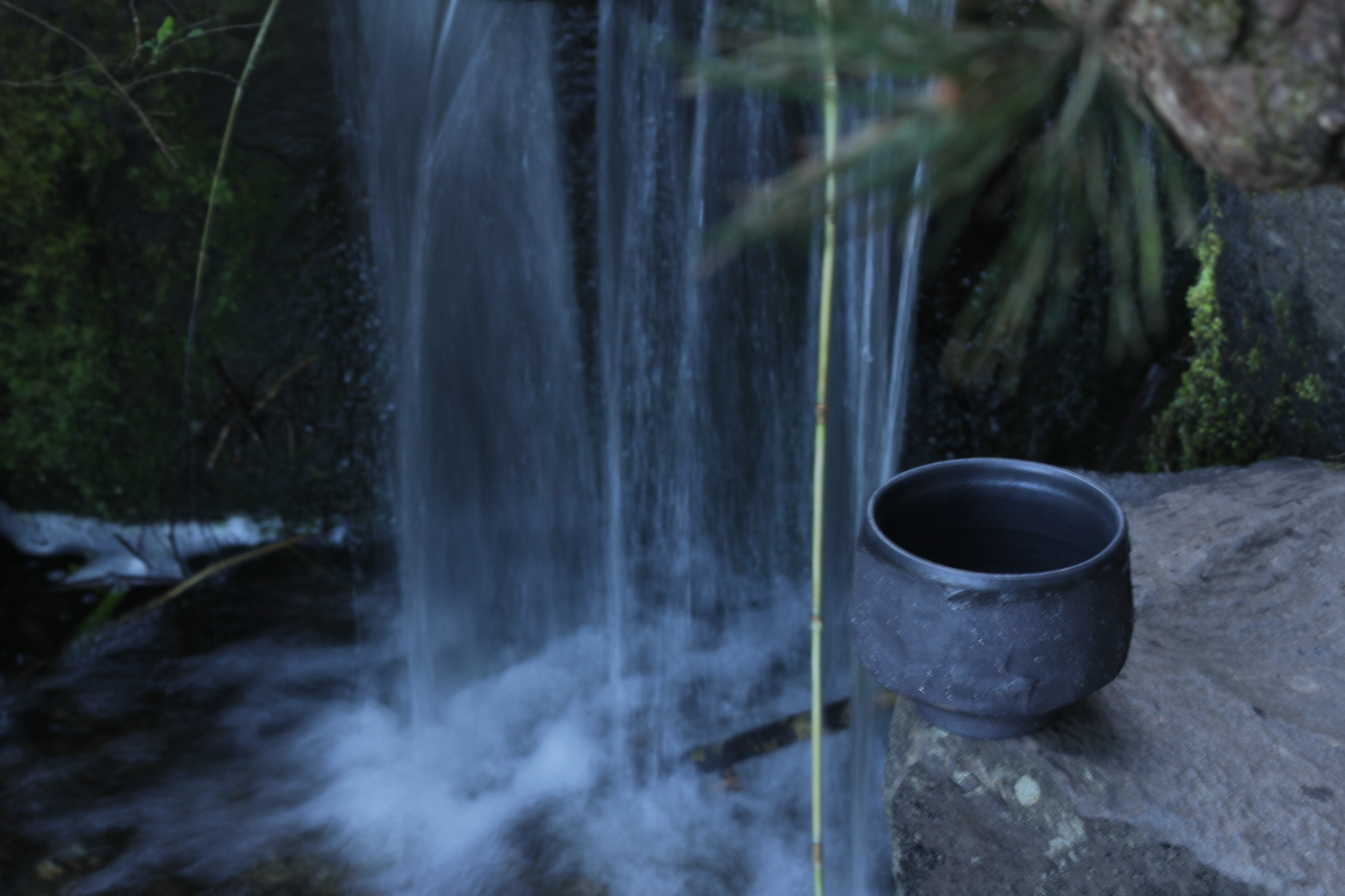 Black tea bowl/>
              </div>
              <div class=