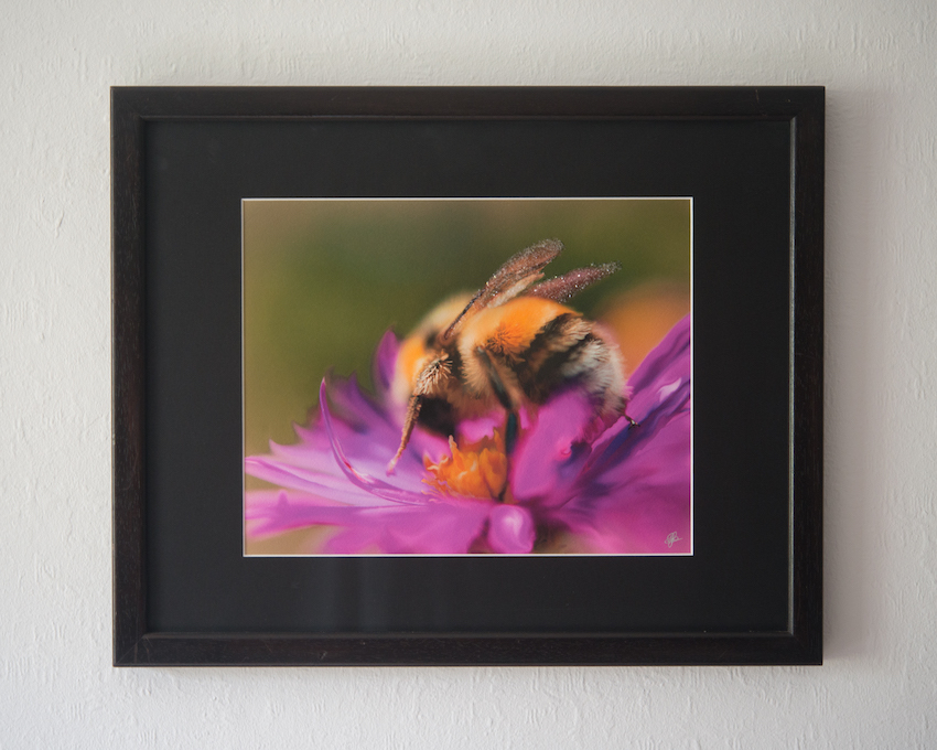 Gillian Hunt, Big Bee Project/>
              </div>
              <div class=