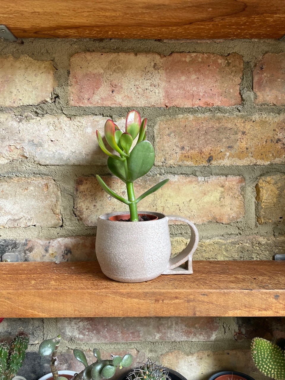Ceramics Class: Handbuilding Teacups