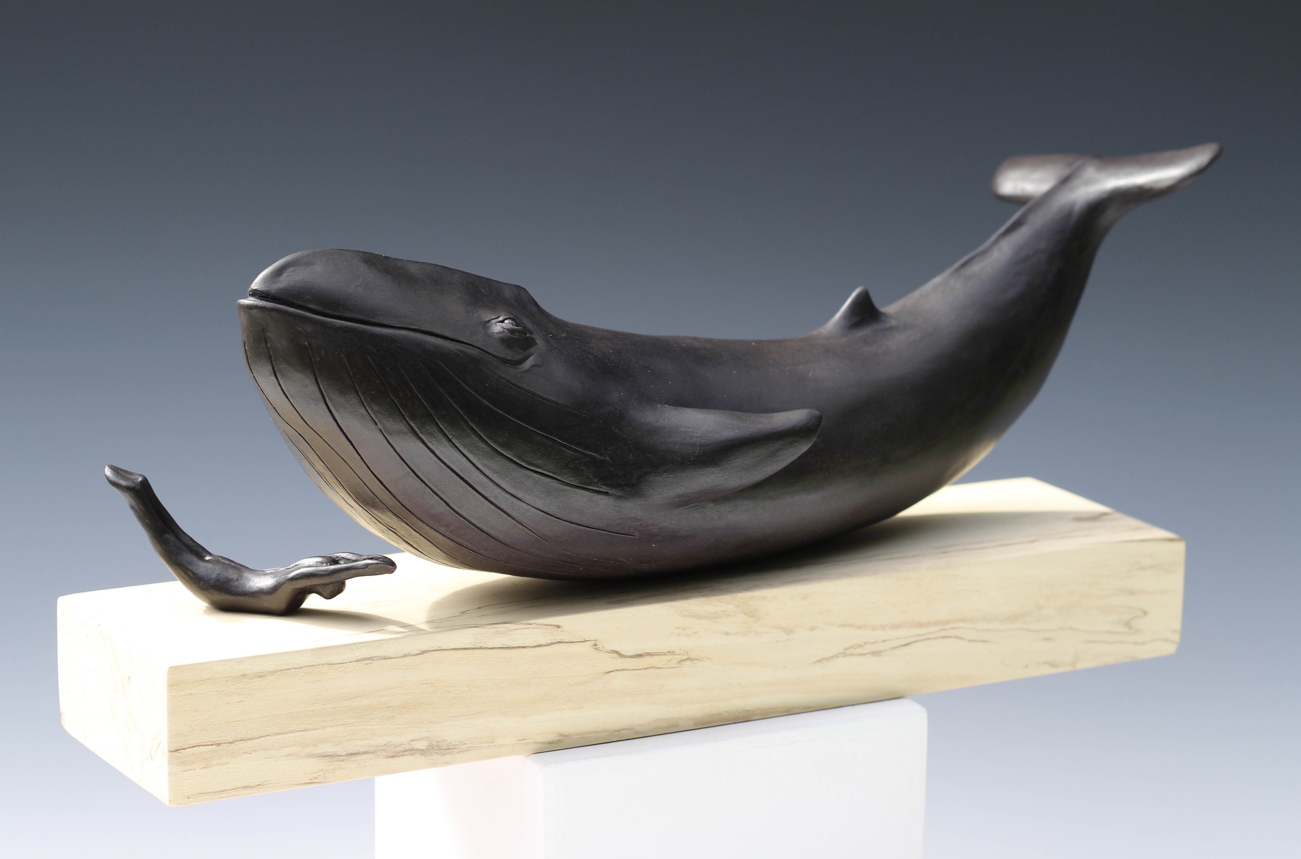 Minke whale and swimmer