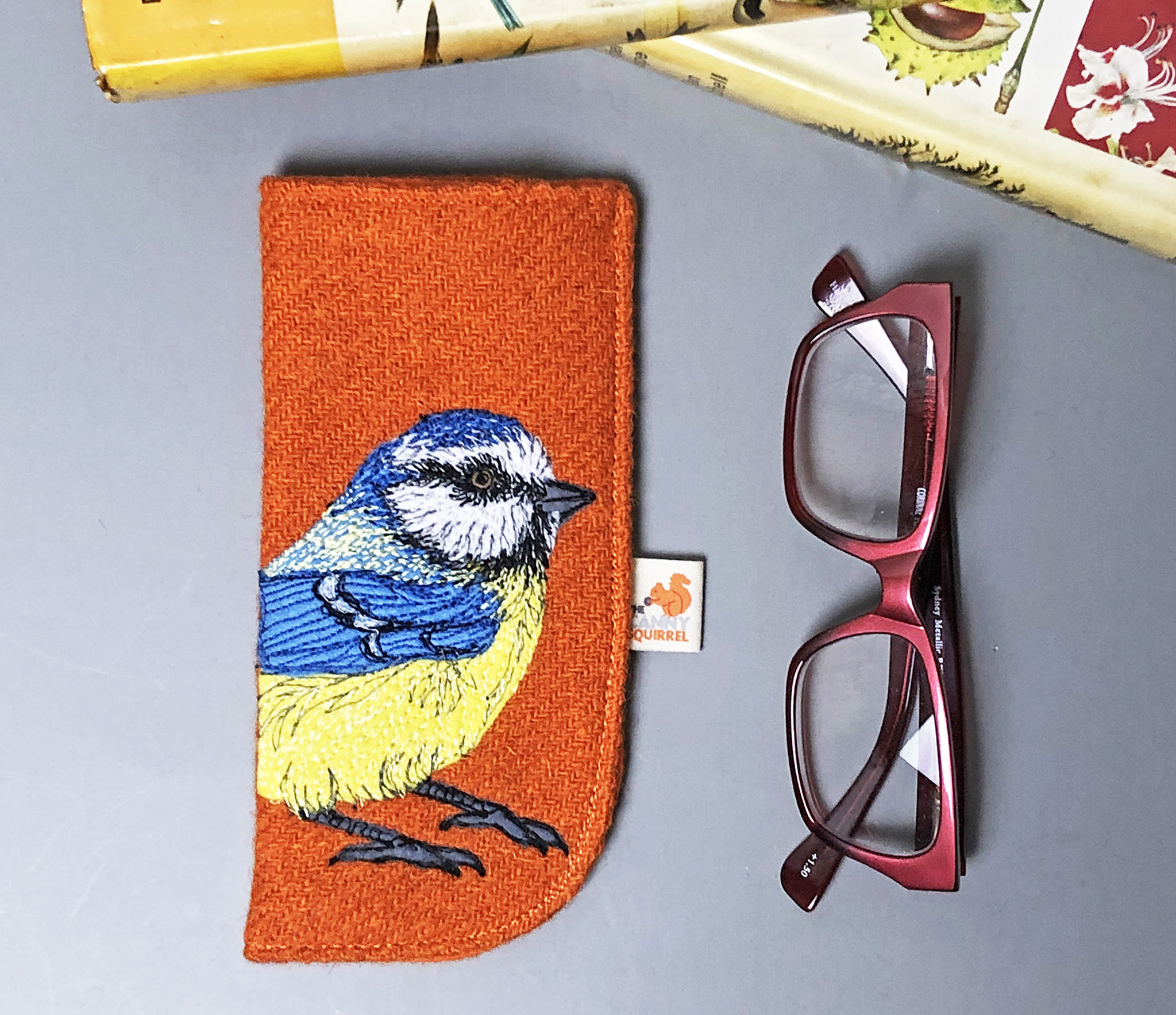 Blue tit glasses case