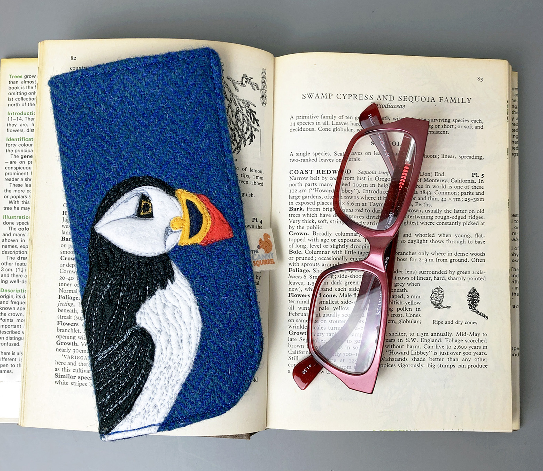 Puffin glasses case