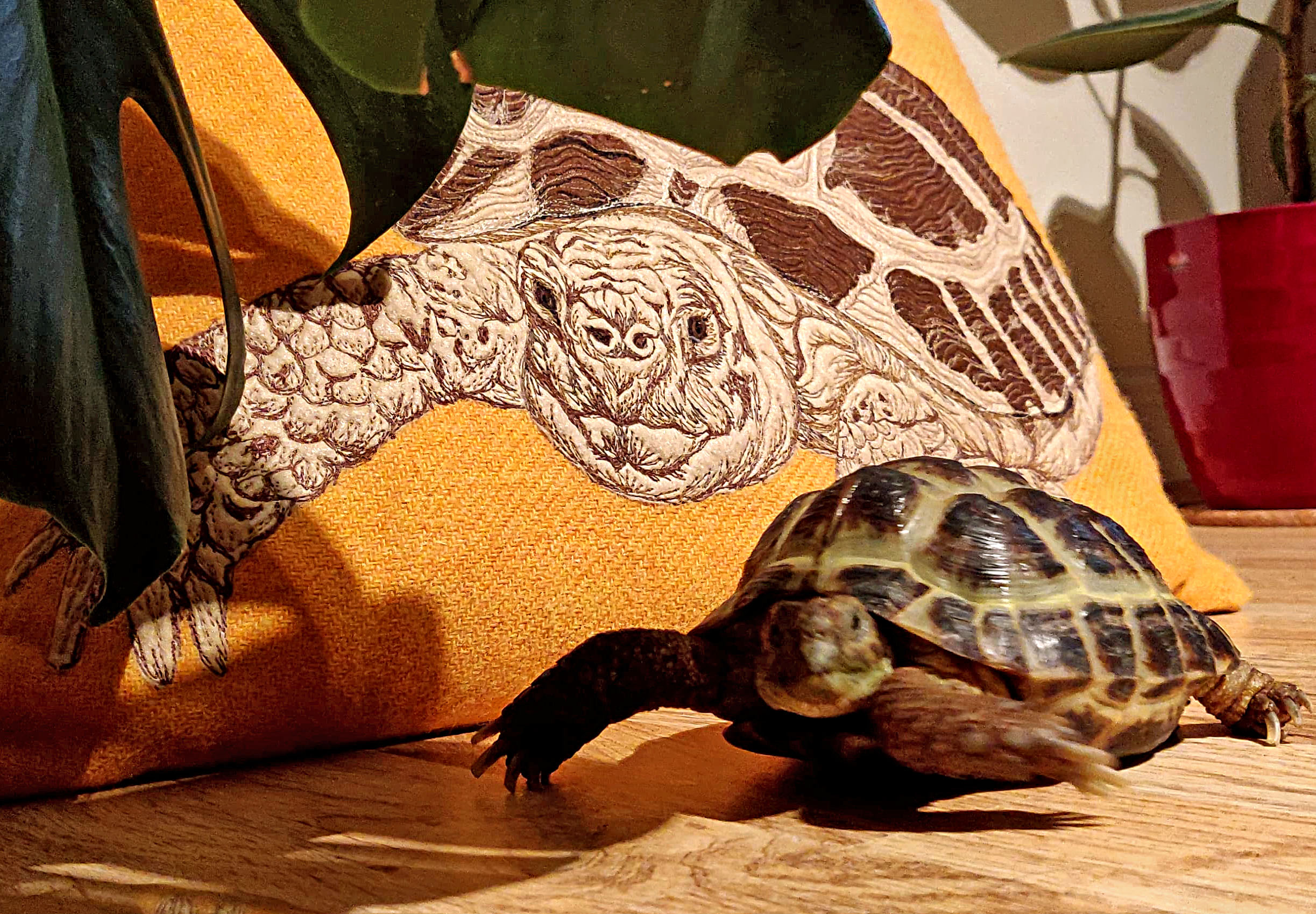 Tortoise pet portrait cushion commission