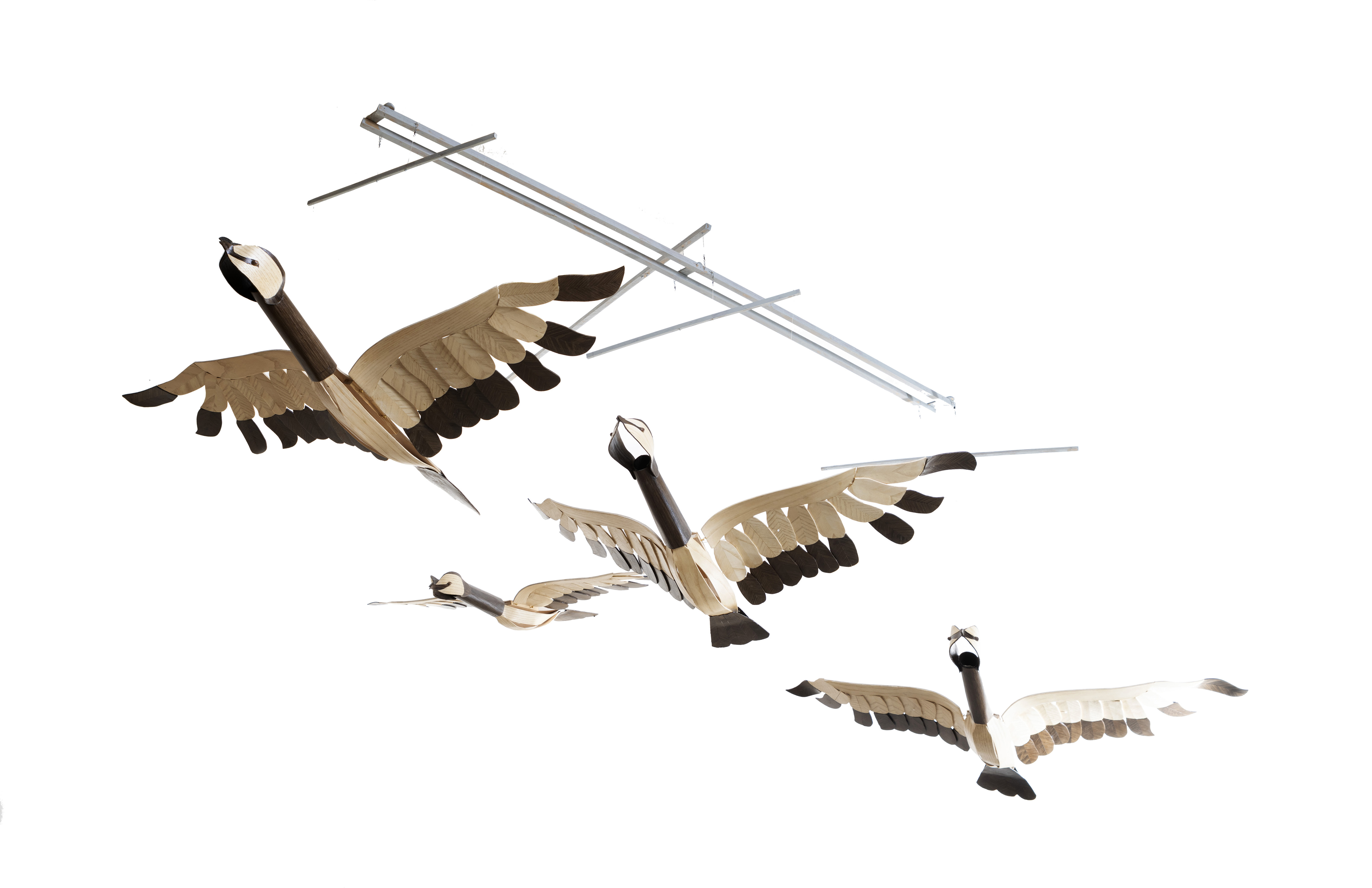 Goose Flock