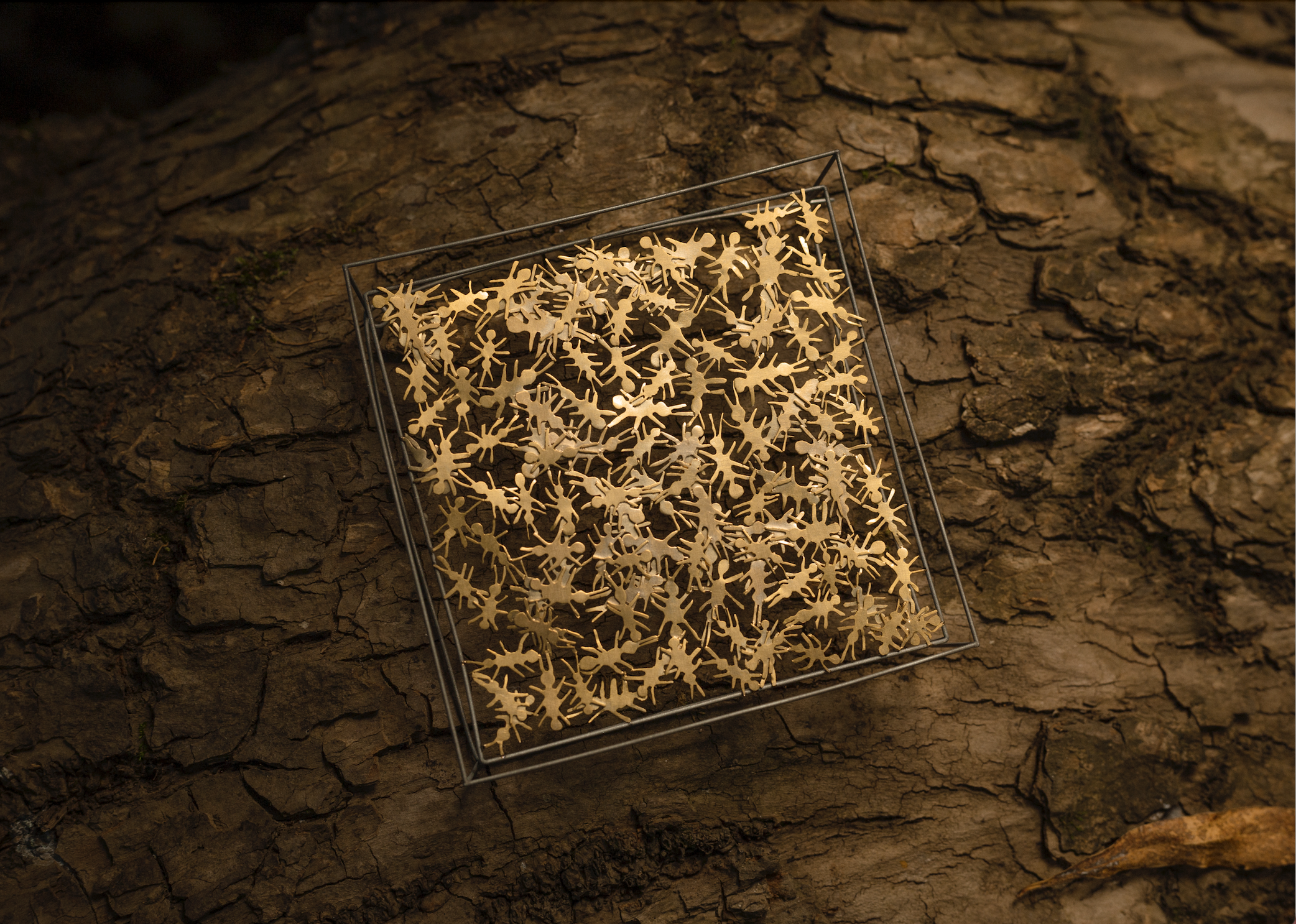 Formication brooch