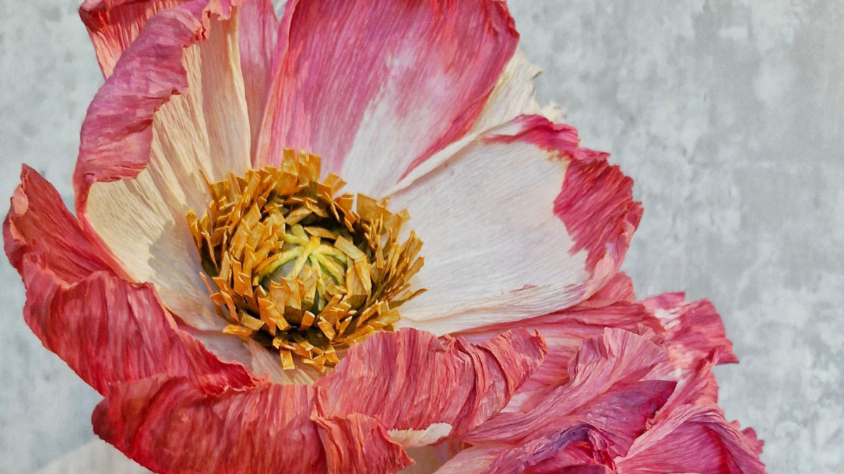 Paper Flower Making: Icelandic Poppies