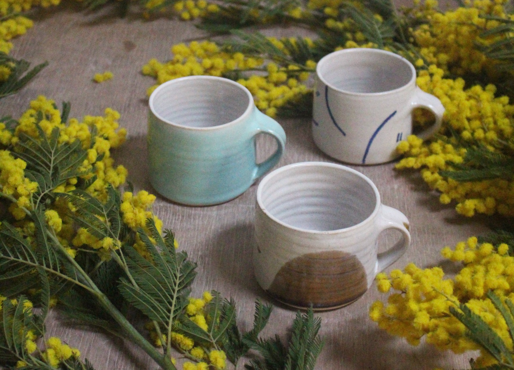 Weekend Beginners Throwing course 28th & 29th June