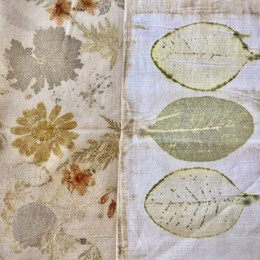 Botanical Printmaking