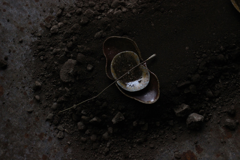 The Japan Collection