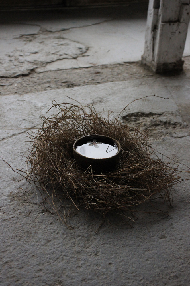 Nest