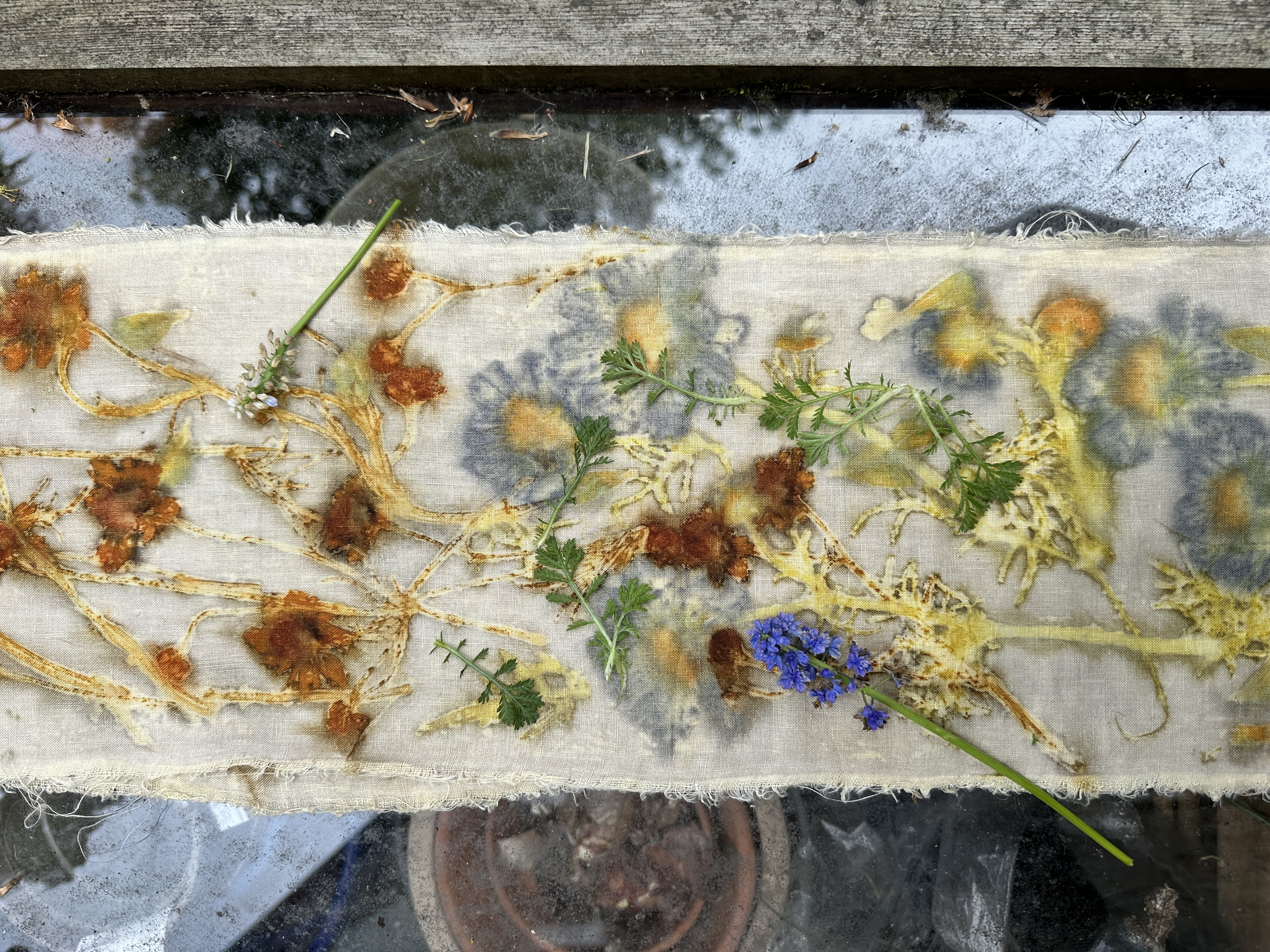 Adult Workshop: Eco Printing