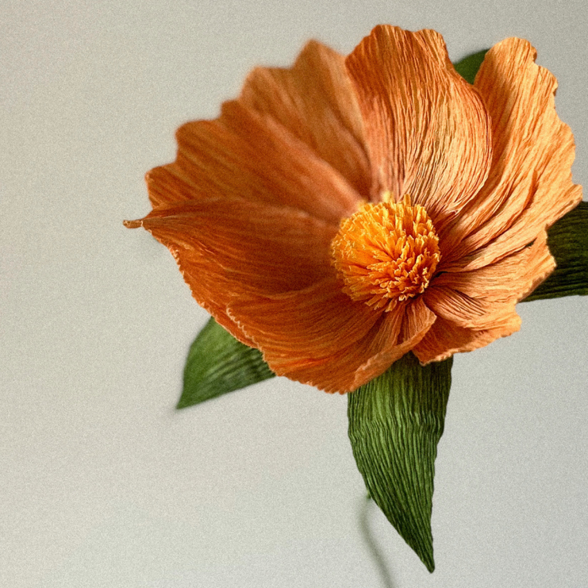 Paper Flower Making with Natalia Manczak 