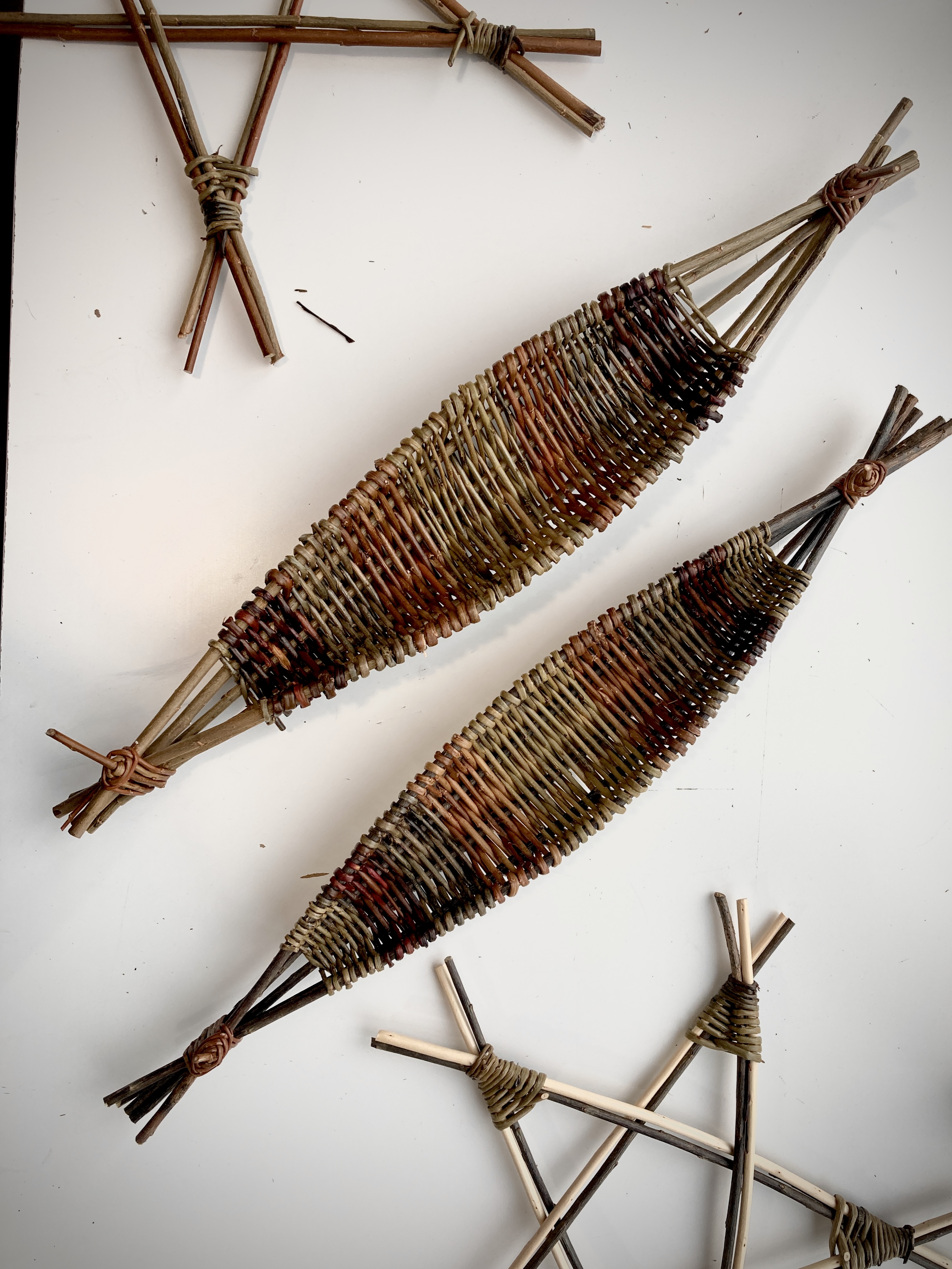 Beginners Willow Basketry