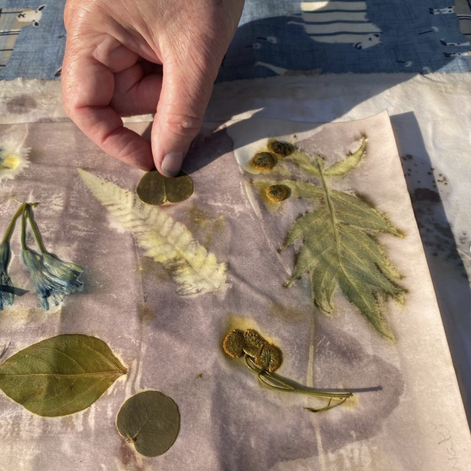 Botanical Printmaking