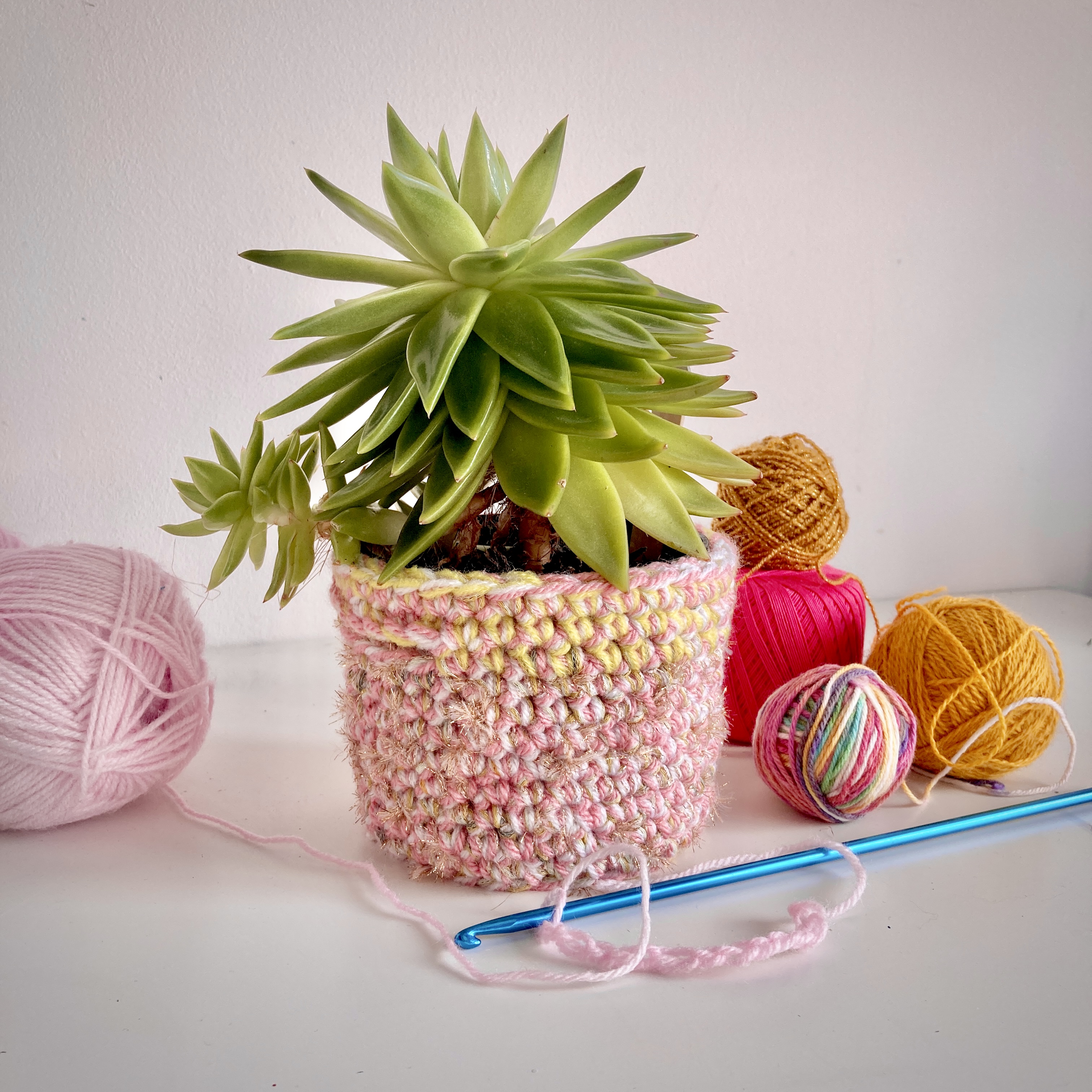 Crochet Pots Workshop