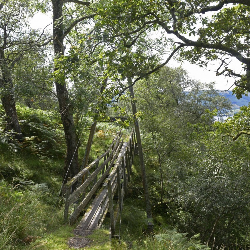 The Bridge Awards Residencies 2026