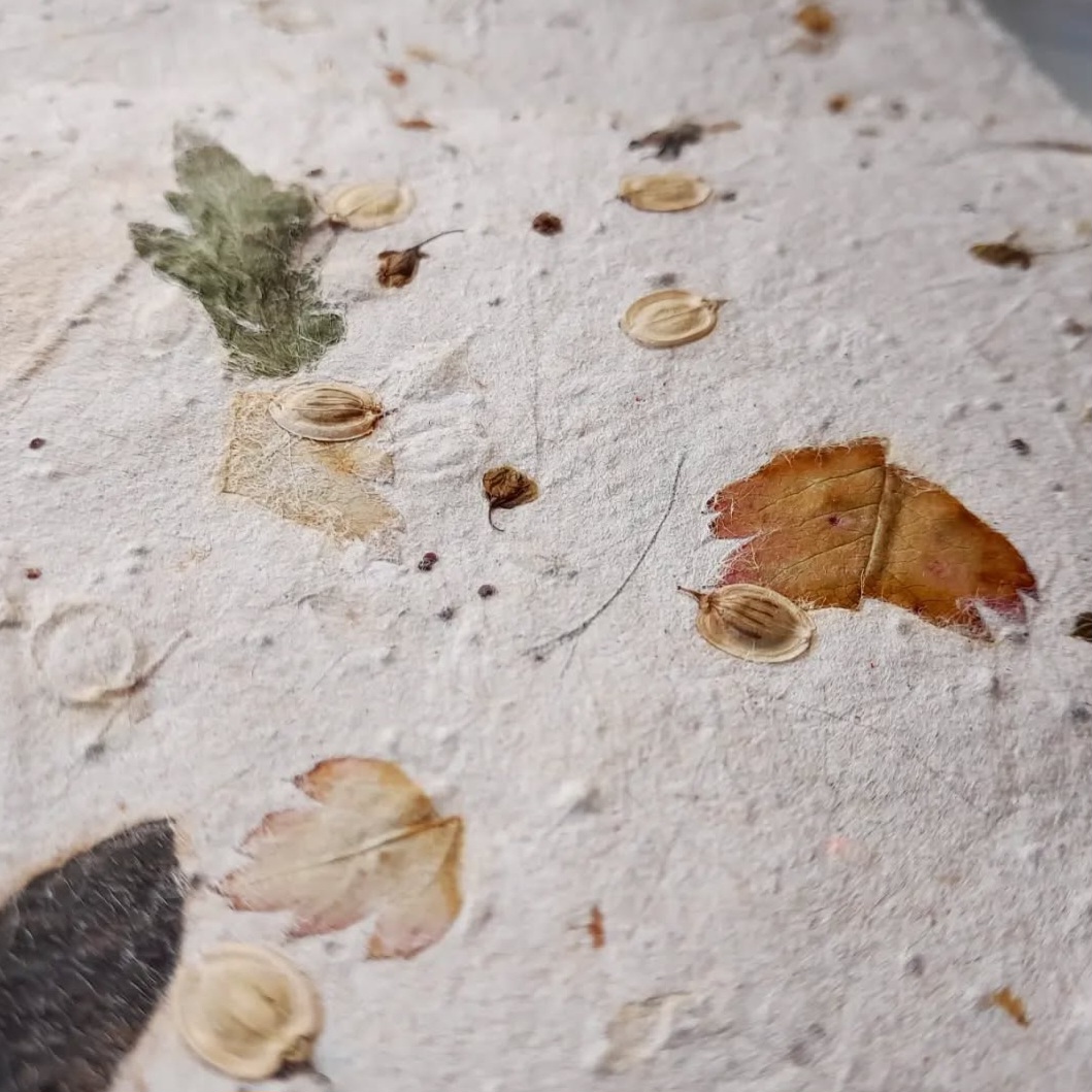 Handmade paper Making