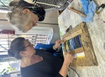 Introduction to Stained Glass with Angela Steel - Various Dates