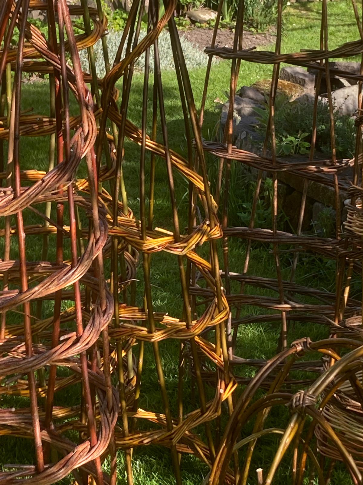 Willow Plant Support Workshop