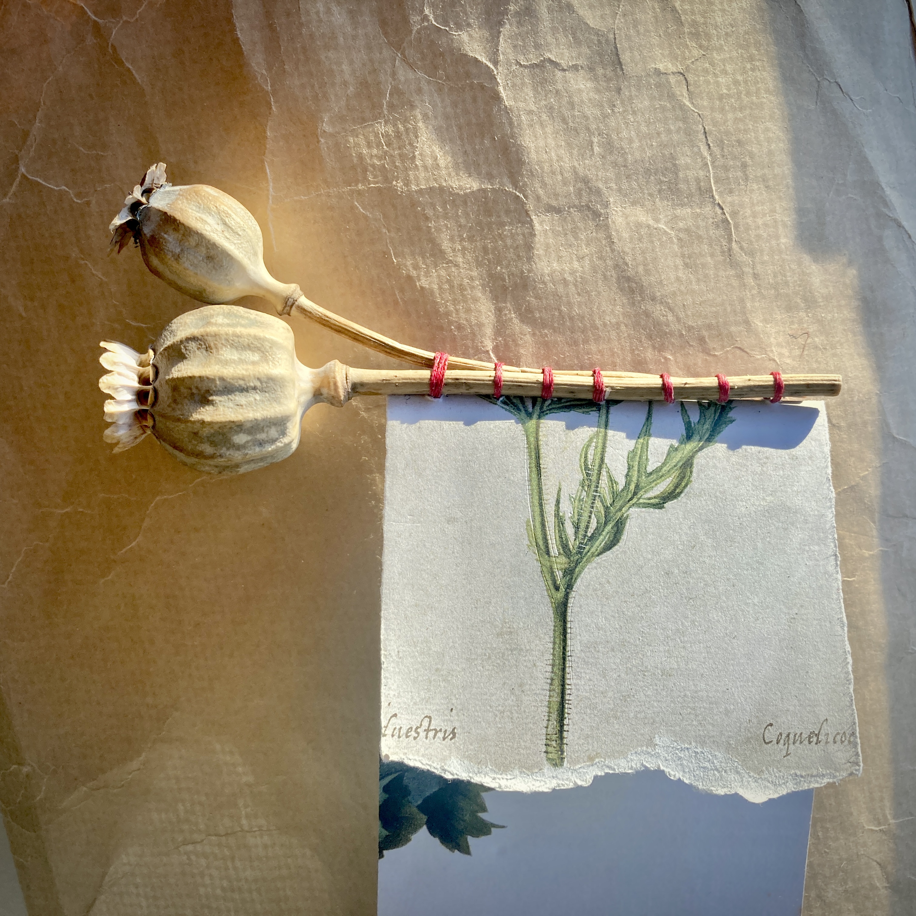 Upcycled Bookbinding