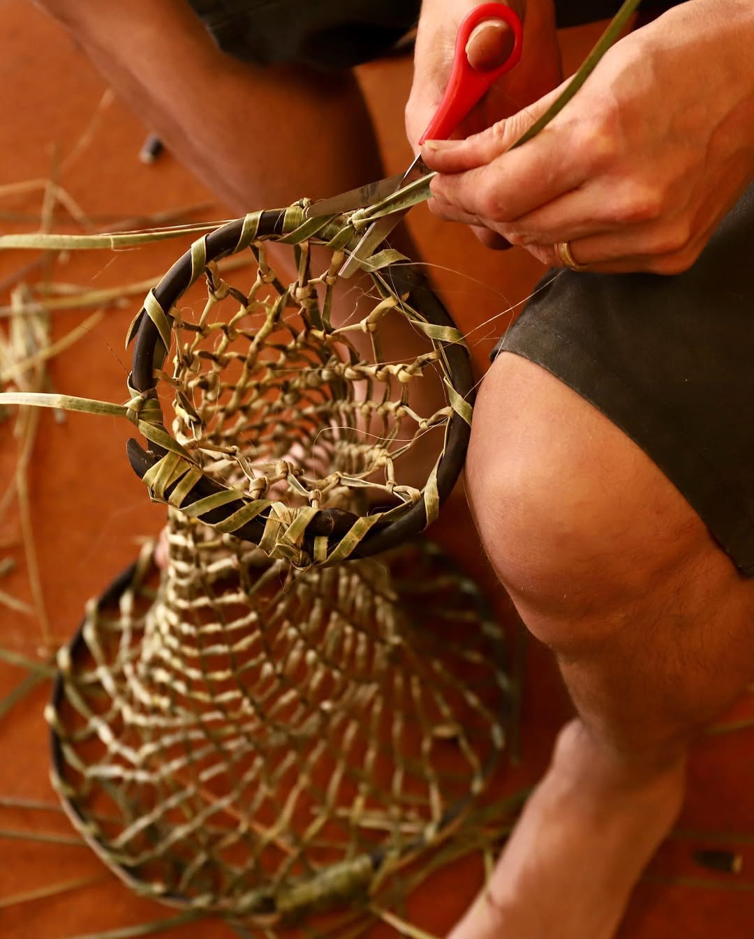 Introduction to Harakeke