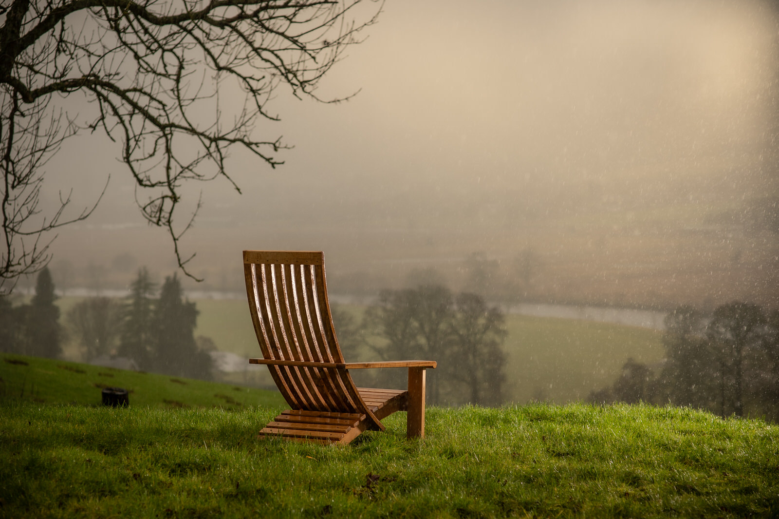 Stargazer Garden Lounge Chair