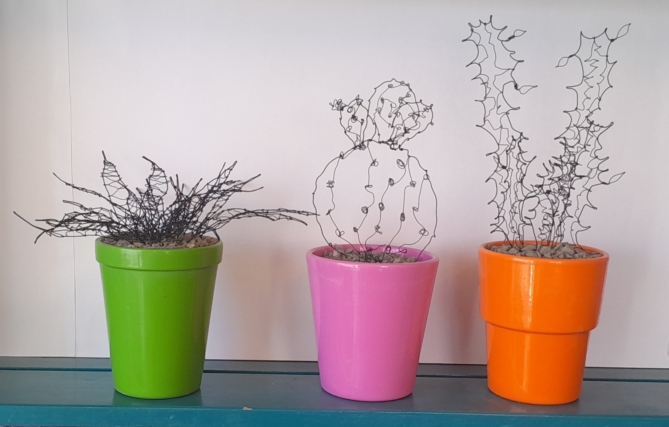 Create Cacti and Succulents in Wire with Philippa Johnston