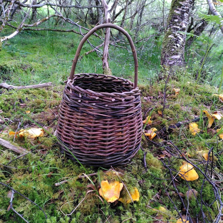 The Great Scottish Basket Cases