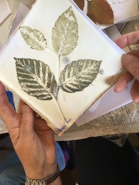 Botanical Printmaking