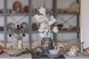 Programme Update Spring 2026