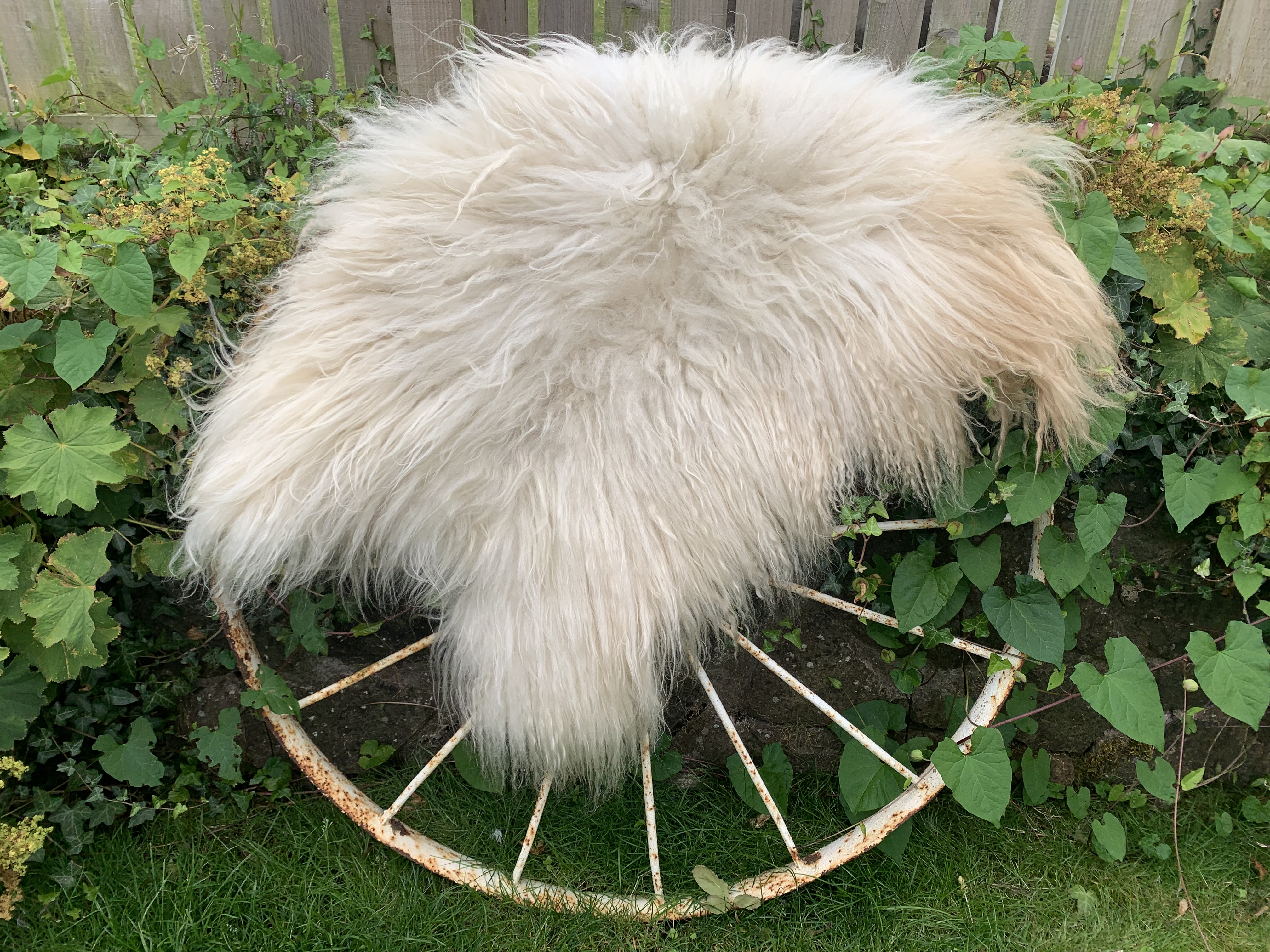 Icelandic Fleece Making