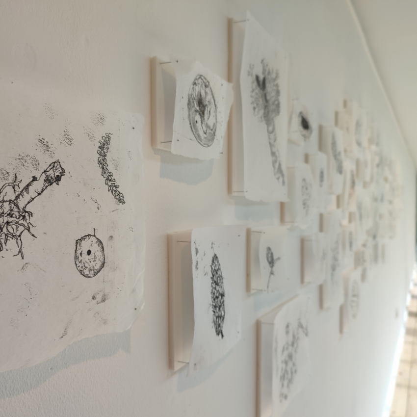 Birnam Arts: Tutors Call Out