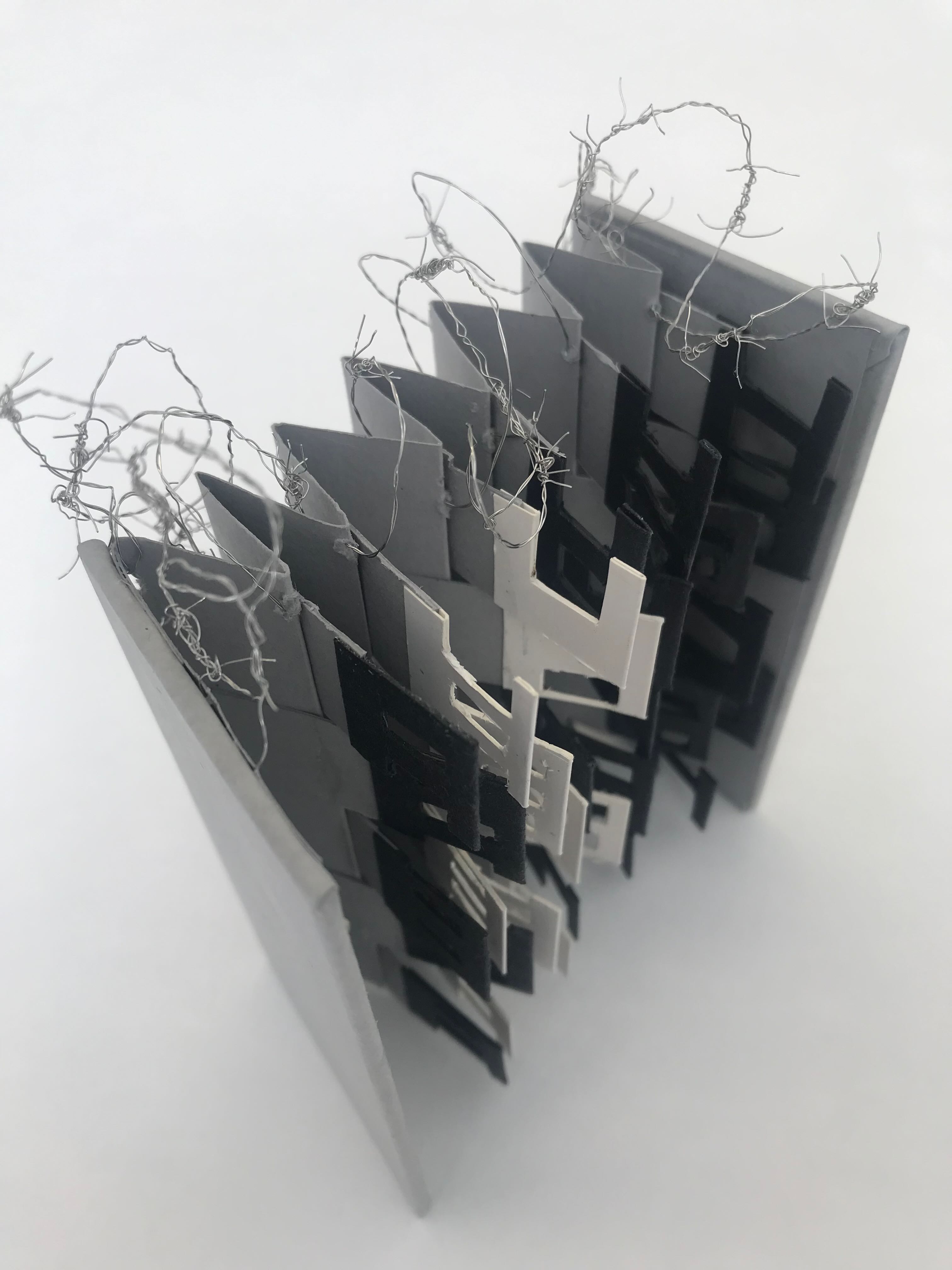 Developing Artists' Books