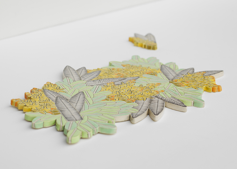 Patterns of Flora | Mapping Seven Raasay Habitats - Moor