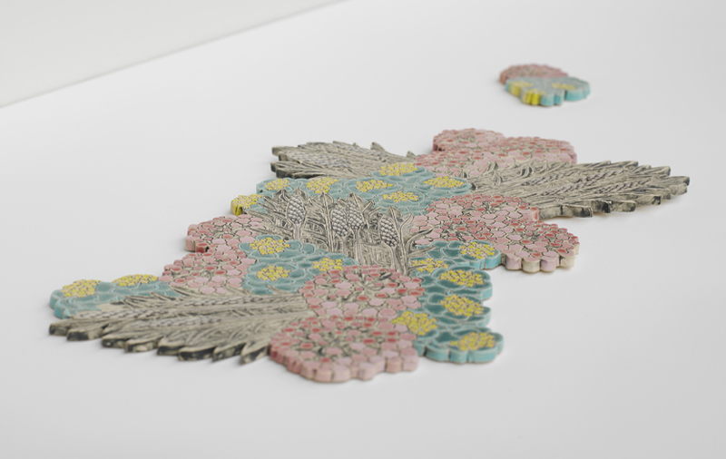 Patterns of Flora | Mapping Seven Raasay Habitats - Coast