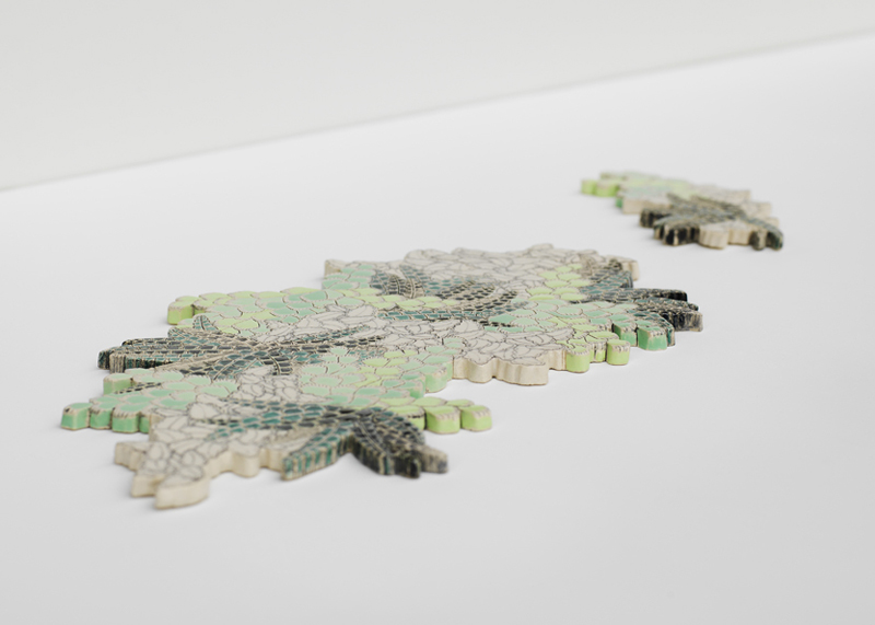 Patterns of Flora | Mapping Seven Raasay Habitats - Limestone