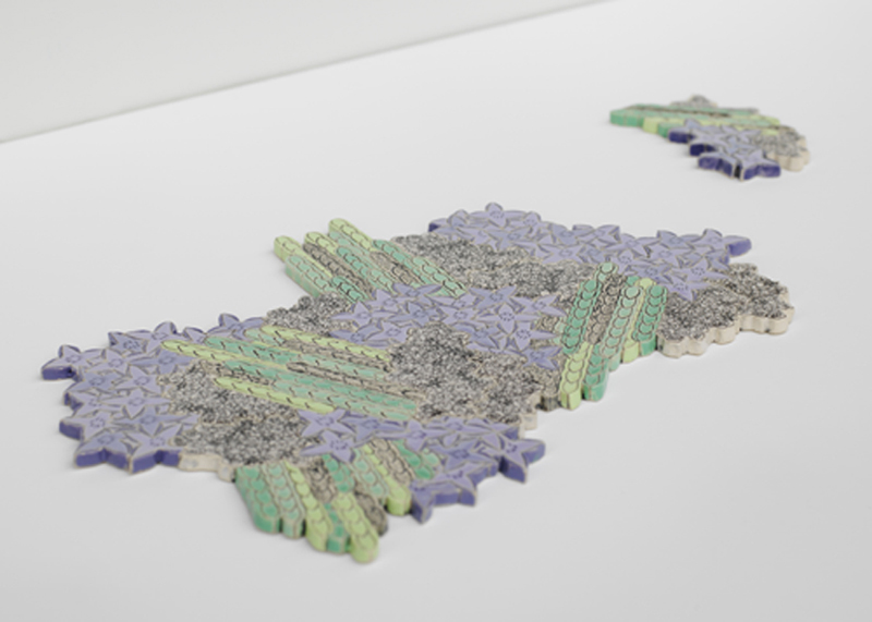Patterns of Flora | Mapping Seven Raasay Habitats - Mountain