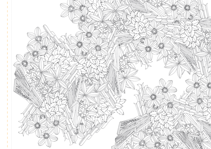 Atlas Edition: Patterns of Flora | Mapping Seven Raasay Habitats - Colouring Book, Woodland