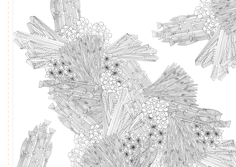 Atlas Edition: Patterns of Flora | Mapping Seven Raasay Habitats - Colouring Book, Fresh-water Loch